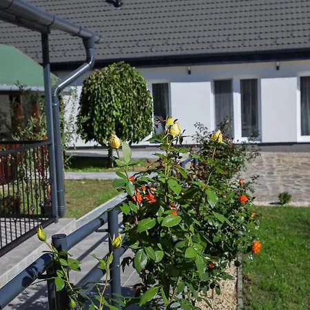 Bed & Breakfast Cigandi Csaladi Panzio